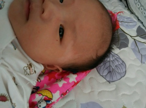 journal_insert_pic_156880972