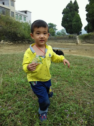 journal_insert_pic_157284316