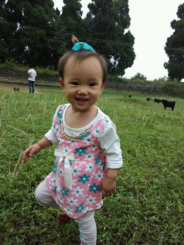 journal_insert_pic_157284307