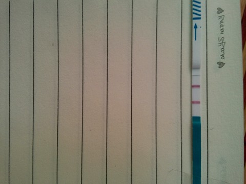 journal_insert_pic_158351778