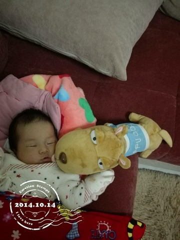 journal_insert_pic_159387557