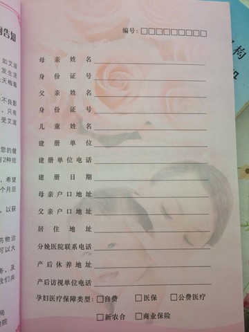 journal_insert_pic_159519313