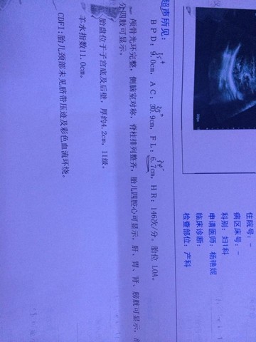 journal_insert_pic_159761831