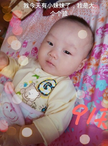 journal_insert_pic_159822476