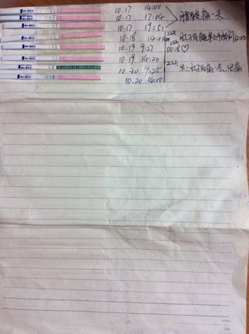 journal_insert_pic_160361757
