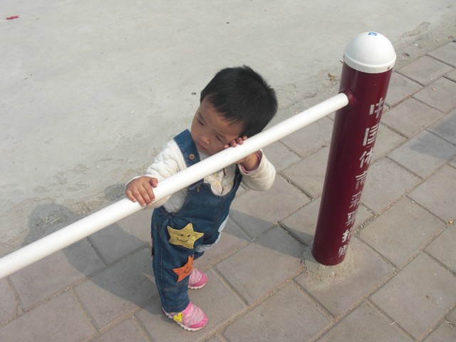 journal_insert_pic_160390557