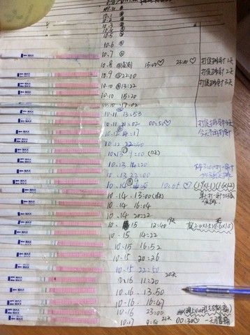 journal_insert_pic_160361776