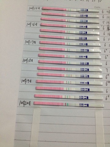 journal_insert_pic_160319089