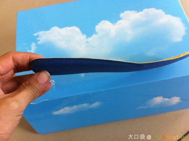 journal_insert_pic_160644978