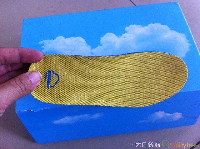 journal_insert_pic_160644940