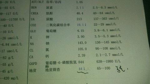 journal_insert_pic_163358524