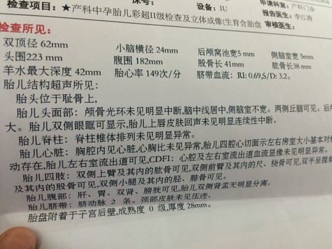 journal_insert_pic_164177725