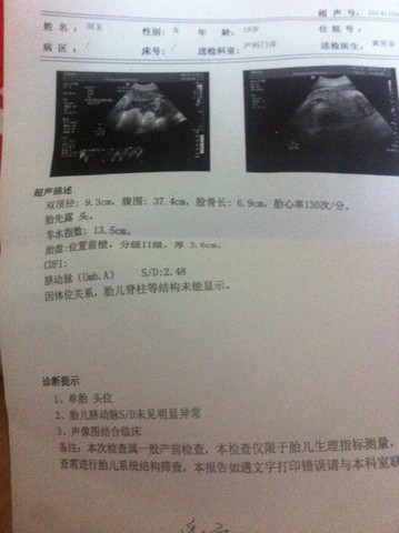 journal_insert_pic_164316371