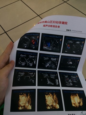 journal_insert_pic_164177762