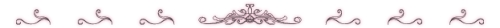 journal_insert_pic_165821327