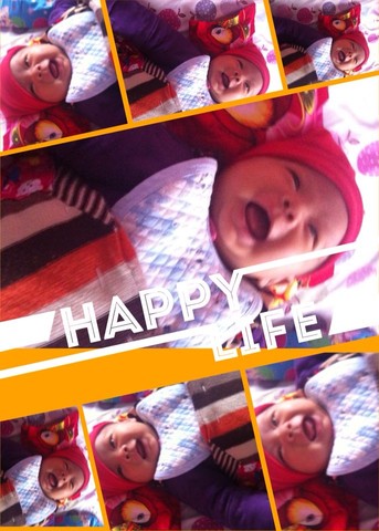 journal_insert_pic_166165913
