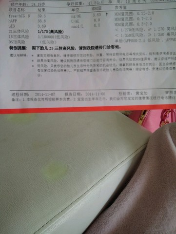 journal_insert_pic_166418522