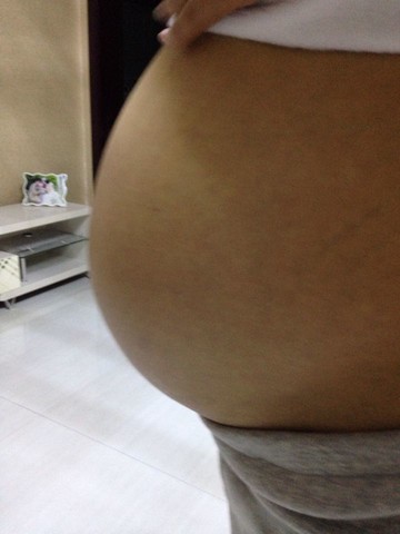 journal_insert_pic_166456504