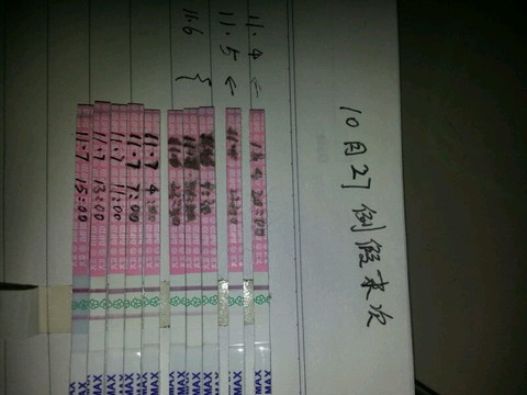journal_insert_pic_167164239