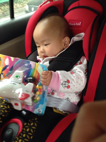 journal_insert_pic_167329407