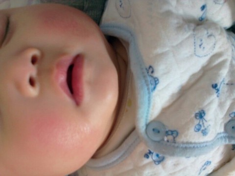 journal_insert_pic_168802012