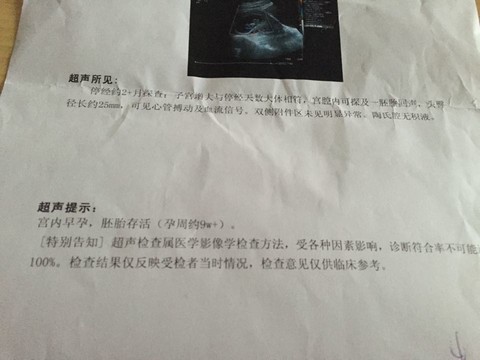 journal_insert_pic_169272805