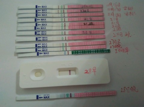 journal_insert_pic_170678020