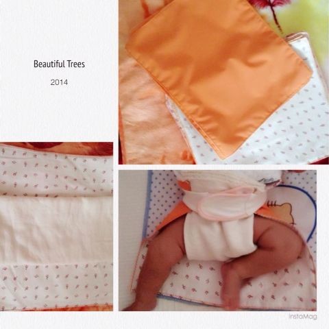 journal_insert_pic_170494670