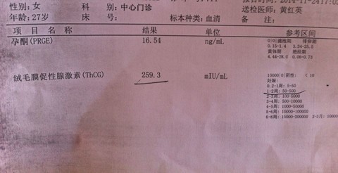 journal_insert_pic_170513946