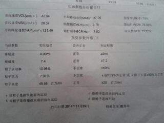 journal_insert_pic_170820292