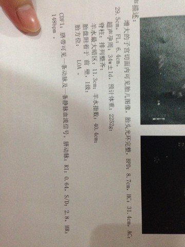 journal_insert_pic_173914774