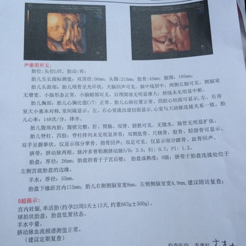 journal_insert_pic_176999454