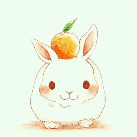 紫色兔bb