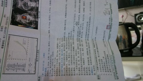 journal_insert_pic_178809007