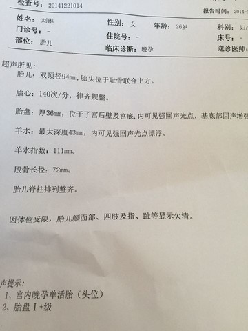 journal_insert_pic_179212021