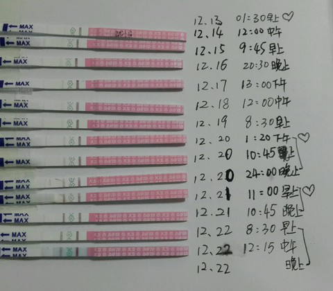 journal_insert_pic_179585420