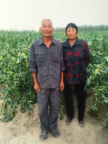 journal_insert_pic_180164950