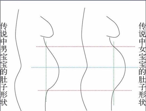 肚型看男女,自己看哦