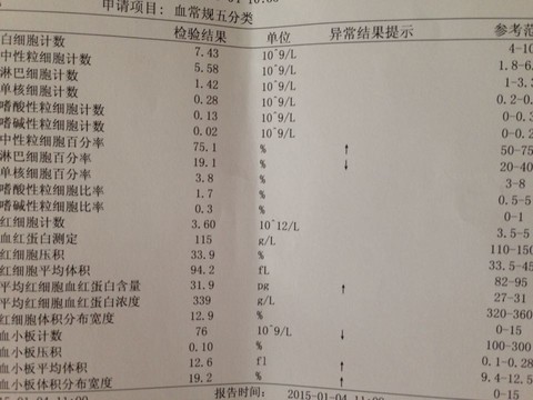 journal_insert_pic_185417348