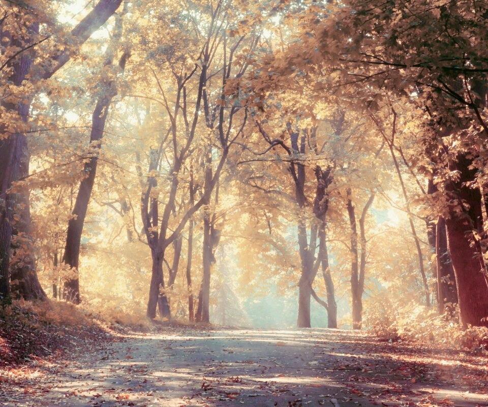 m l xl 码子都有 便宜卖_宝宝树