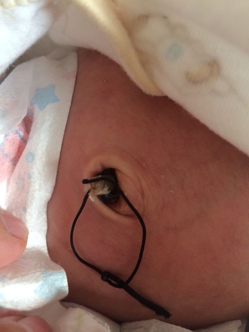 journal_insert_pic_189367294