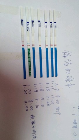 journal_insert_pic_192181582