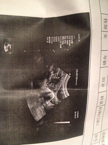 journal_insert_pic_193769800