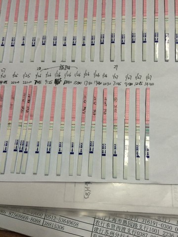 journal_insert_pic_194547882