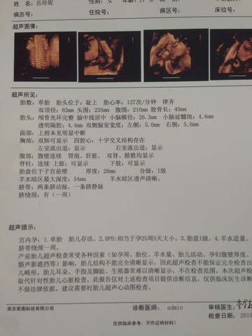 journal_insert_pic_198573630