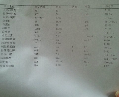 journal_insert_pic_204478657