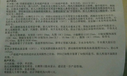 journal_insert_pic_205024148