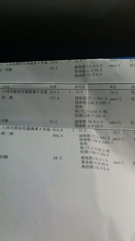 journal_insert_pic_205767498