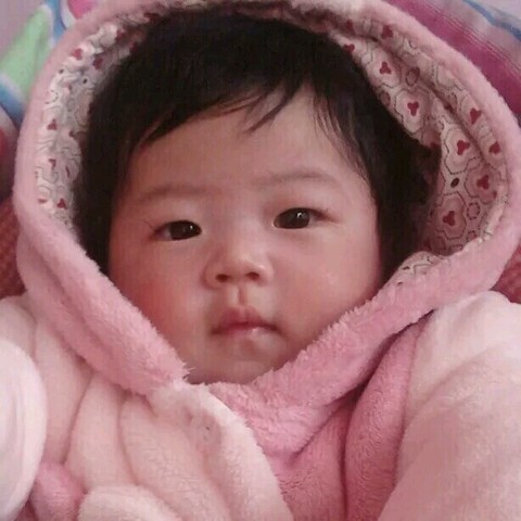 journal_insert_pic_207811278