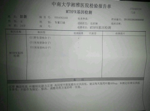 journal_insert_pic_208543345